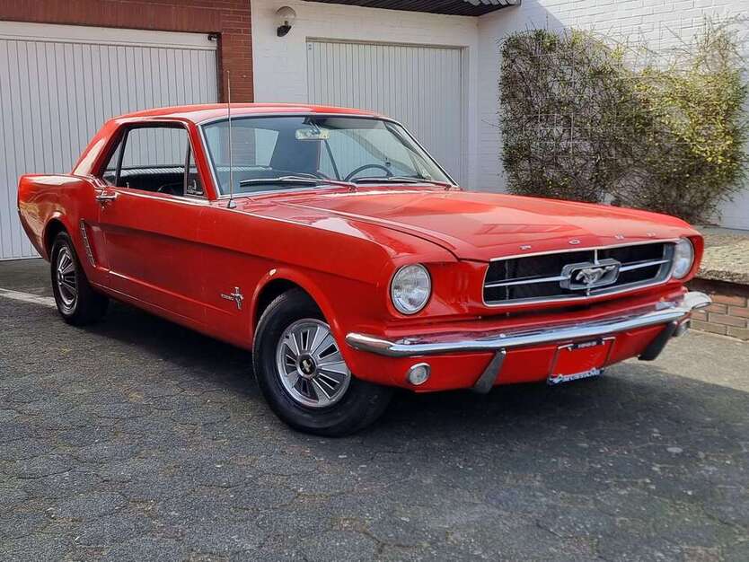 Mustang