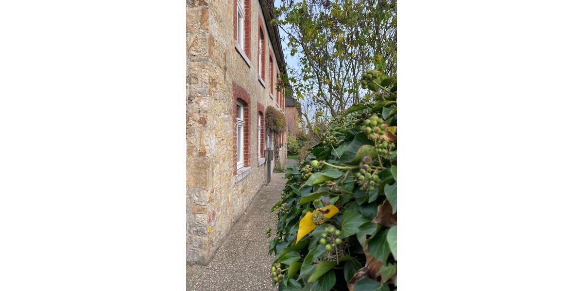 Erdgeschoßwohnung Aachen Aachen-Mitte - 1 Zimmer, 35 m&sup2;, 450&euro; | Angebot:25820679