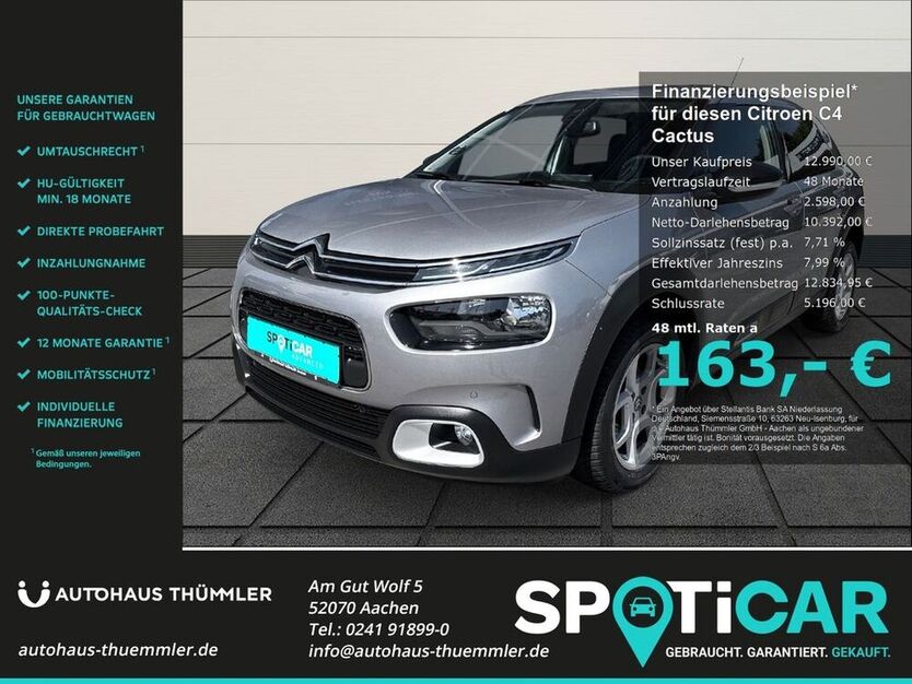 C4 Cactus